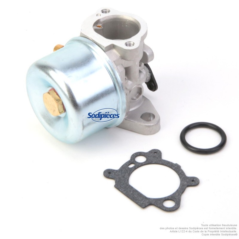 Carburateur pour Briggs & Stratton N°799866
