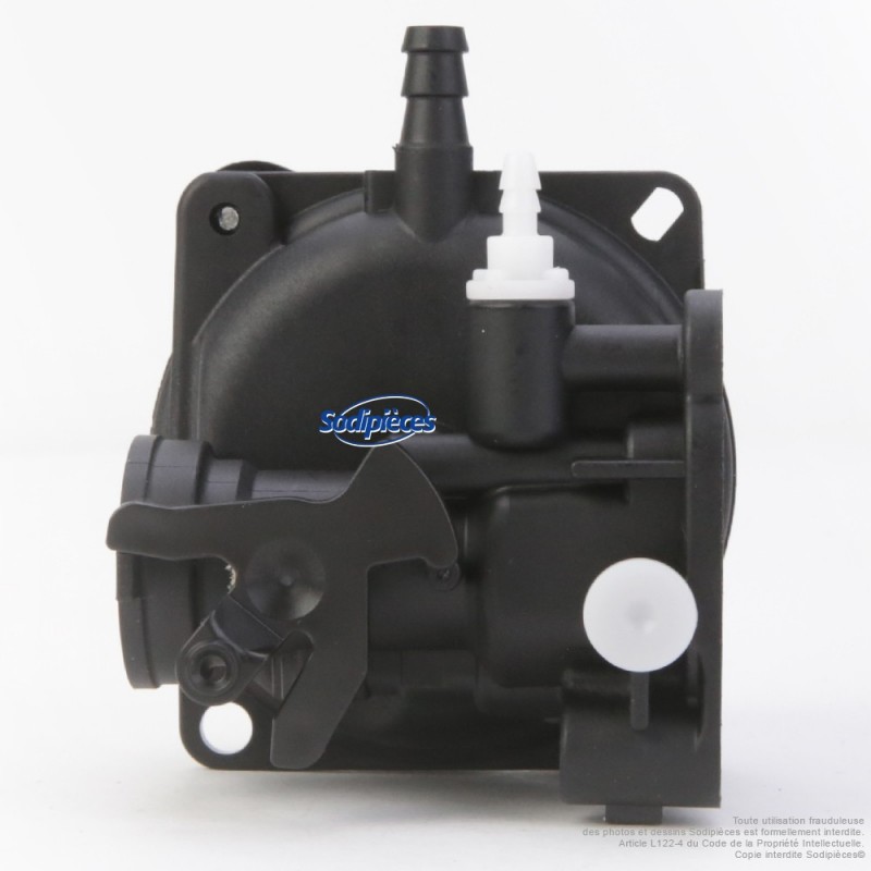 Carburateur pour Briggs & Stratton N°799583
