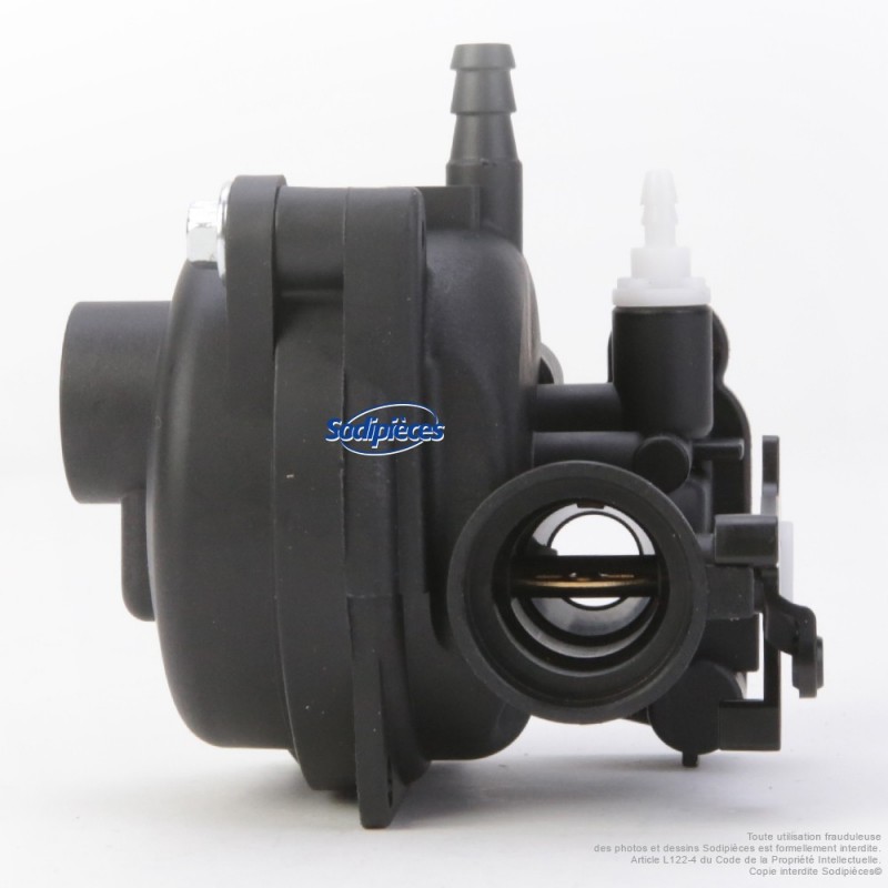 Carburateur pour Briggs & Stratton N°799583