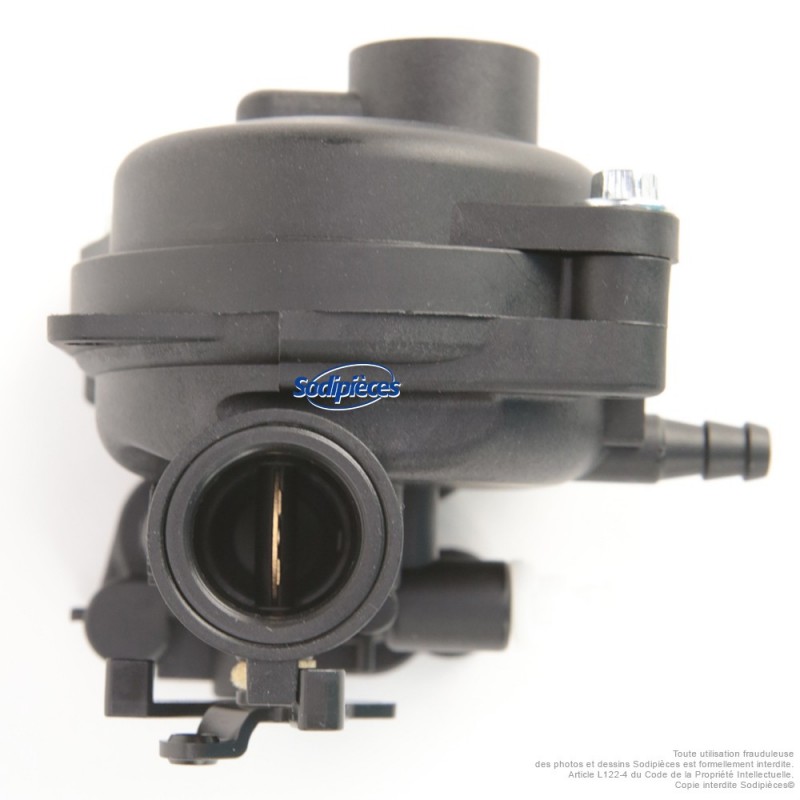 Carburateur pour Briggs & Stratton N°799583