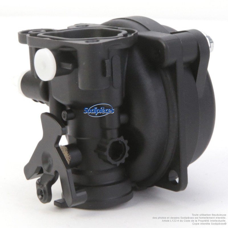 Carburateur pour Briggs & Stratton N°799583