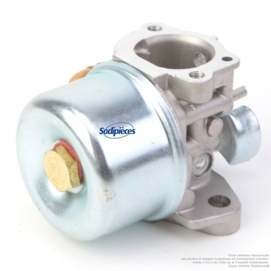 Carburateur pour Briggs & Stratton N°798653