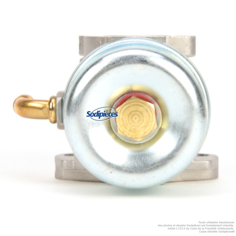 Carburateur pour Briggs & Stratton N°798653