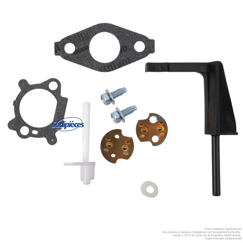 Carburateur pour Briggs & Stratton N°798653