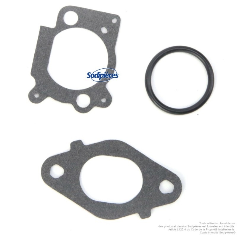 Carburateur pour Briggs & Stratton N°796608