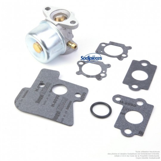 Kit De Rechange Complet Pour Carburateur Moteur Briggs & Stratton - Compatible Avec Modèles 121602, 121607, 121612