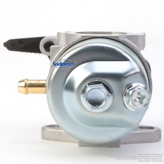 Carburateur pour Briggs & Stratton N°591852
