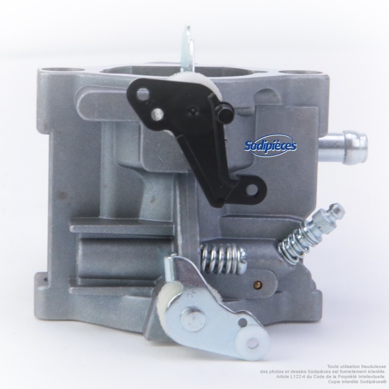 Carburateur pour Briggs & Stratton N°794572
