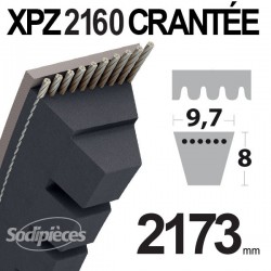 Courroie tondeuse XPZ2160 Trapézoïdale crantée. 9,7 mm x 2173 mm