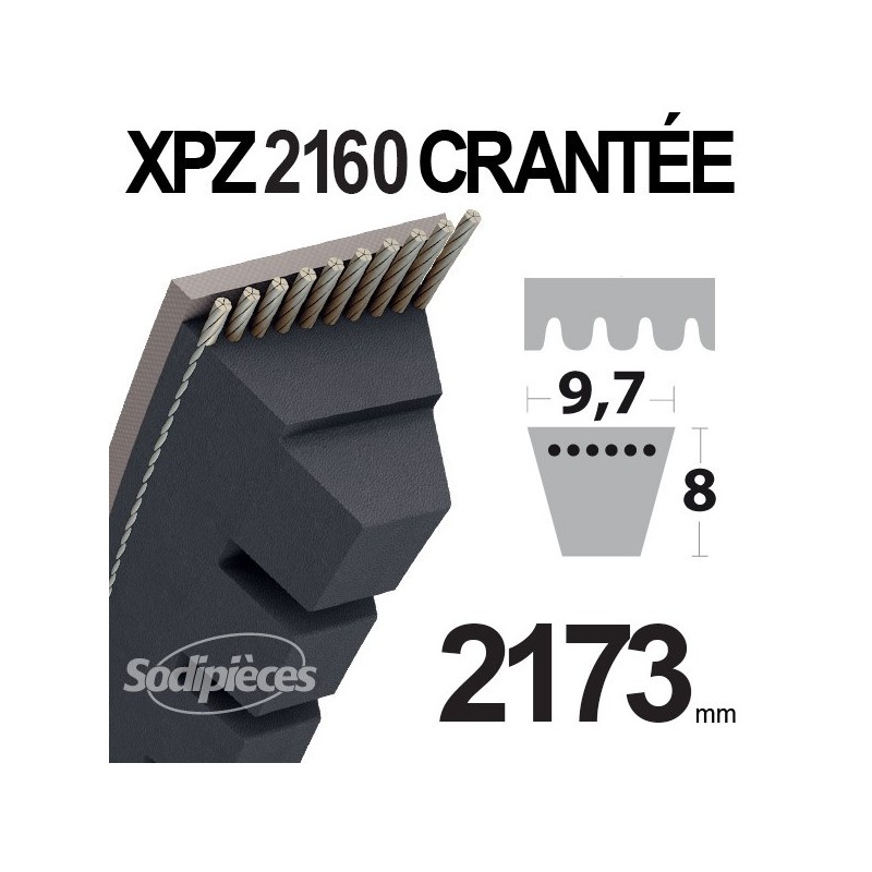 Courroie tondeuse XPZ2160 Trapézoïdale crantée. 9,7 mm x 2173 mm