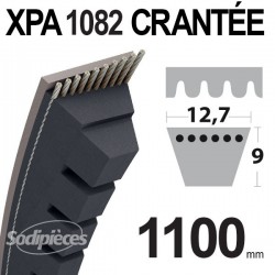 Courroie tondeuse XPA1082 Trapézoïdale Crantée - 12,7 mm x 1100mm