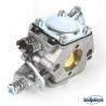 Carburateur pour Briggs & Stratton N°795477