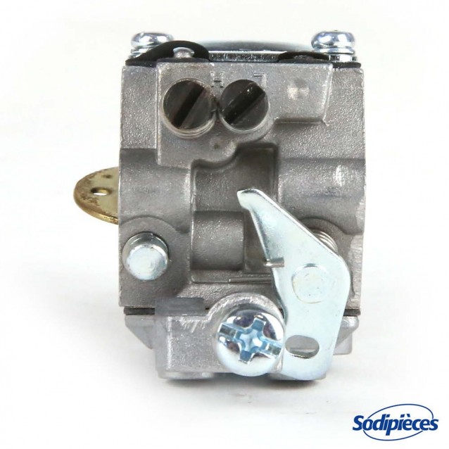 Carburateur pour Briggs & Stratton N°795477