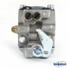 Carburateur pour Briggs & Stratton N°795477