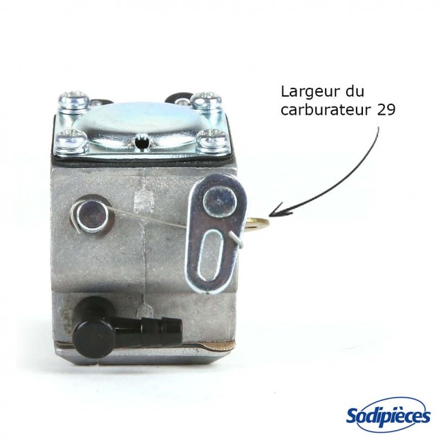 Carburateur pour Briggs & Stratton N°795477