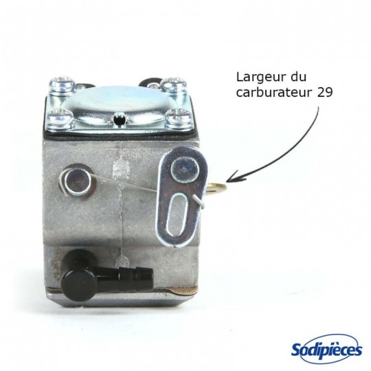 Carburateur pour Briggs & Stratton N°795477