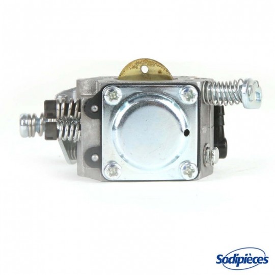 Carburateur pour Briggs & Stratton N°795477