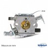 Carburateur pour Briggs & Stratton N°795477