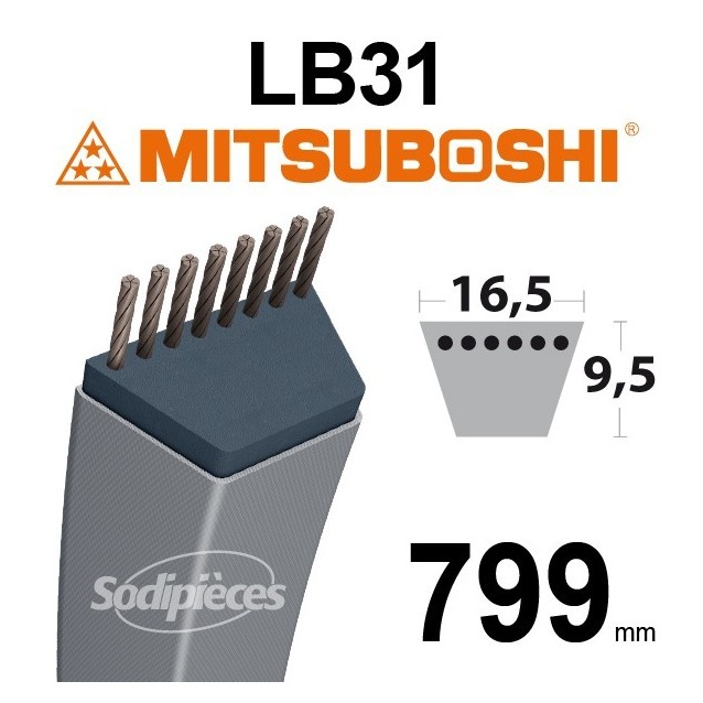 Courroie LB31 Mitsuboshi. 16,5 mm x 799 mm.