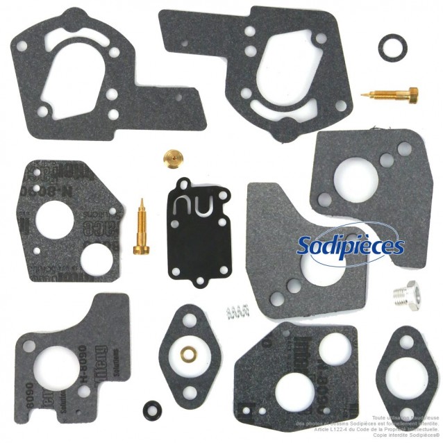 Kit réparation pour carburateur Briggs & Stratton 494624, 495606