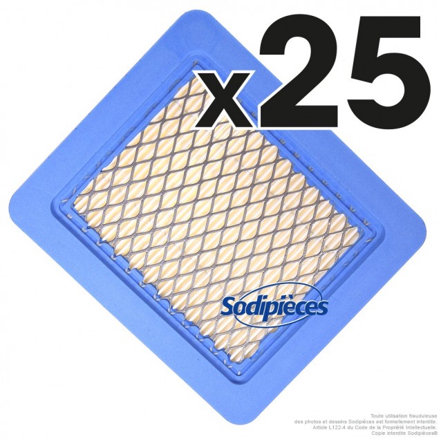 Filtre à air pour Briggs et Stratton 399959. 25 ex
