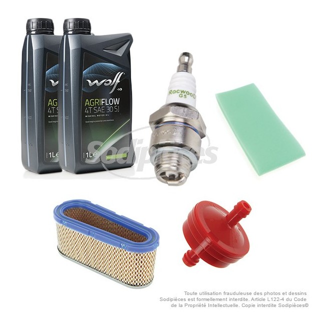 Kit pour B&S 11/12 cv à partir de 1994