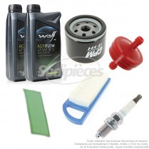 Kit pour B&S 14.5-18.5 cv