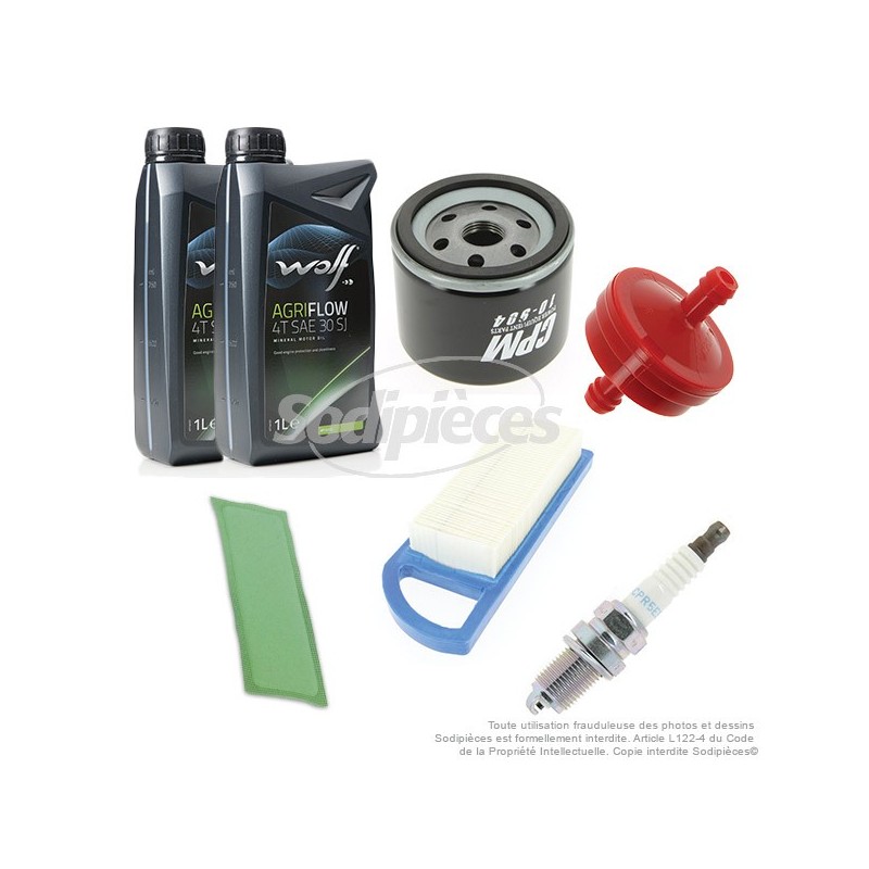Kit pour B&S 14.5-18.5 cv