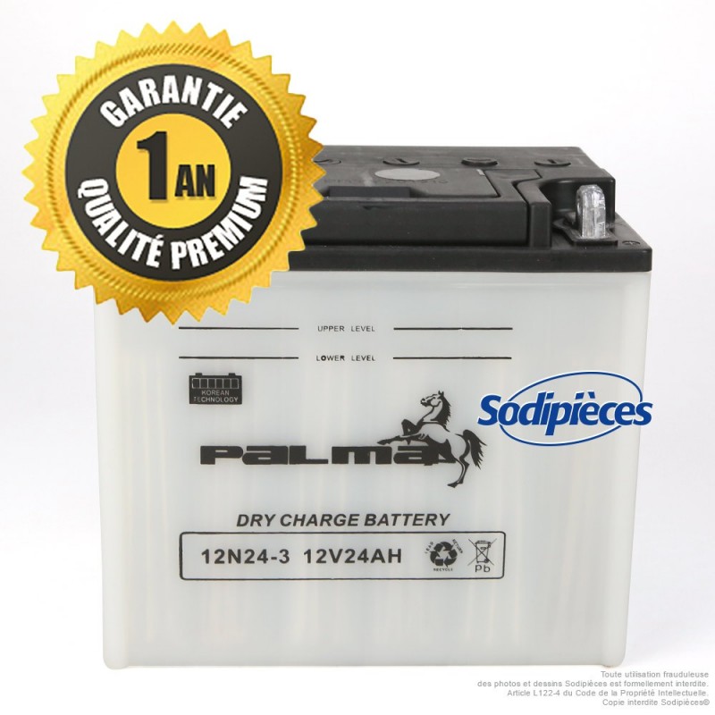Batterie sèche Premium Palma 12N24-3