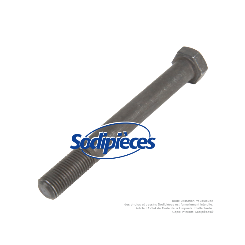 Vis de lame pas à droite pour Castelgarden N° 12736825/0