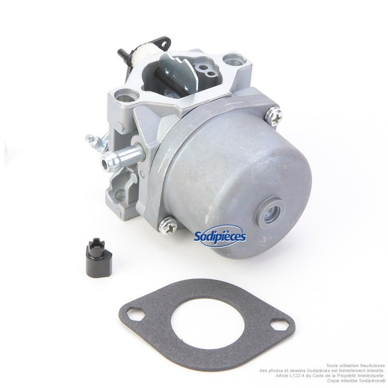 Carburateur pour Briggs & Stratton N°799728