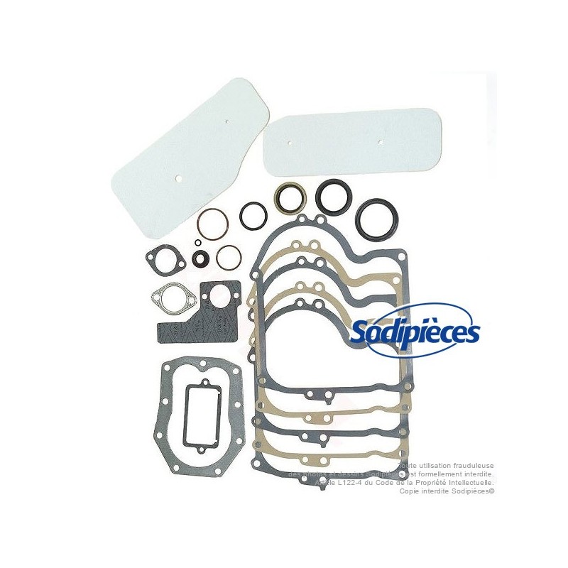 Jeu de joints pour Briggs et Stratton. N° 393411