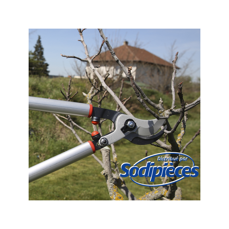 Ebrancheur démultiplié acier trempé Bahco Pradines P280SL-60 55 mm. Pro. Fabriqué en France