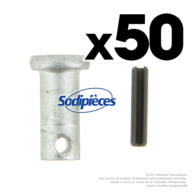 Axe pour fléaux pour Carroy Giraudon.