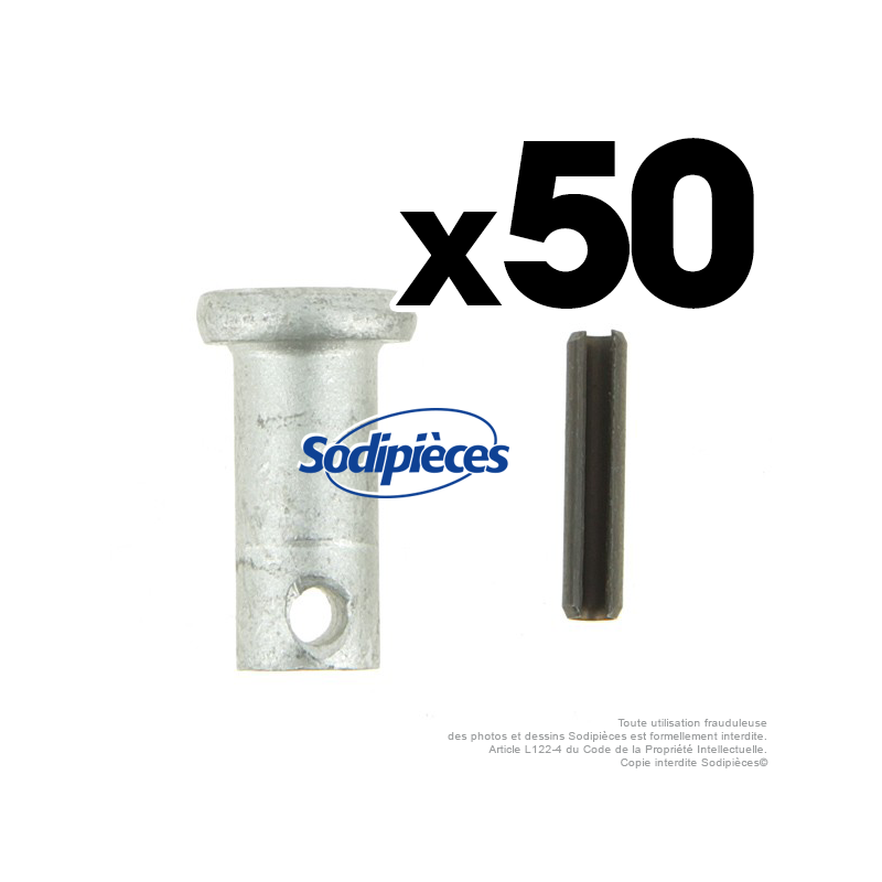 Axe pour fléaux pour Carroy Giraudon.