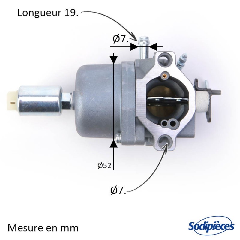 Carburateur pour Briggs & Stratton N°794572