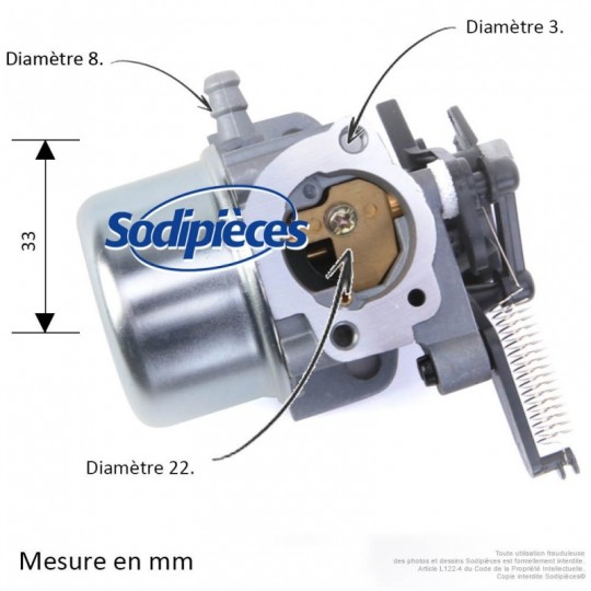 Carburateur pour Briggs & Stratton N°796608