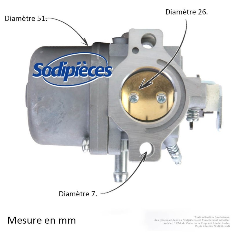 Carburateur pour Briggs & Stratton N°799728