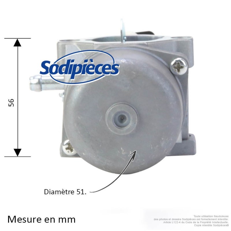 Carburateur pour Briggs & Stratton N°799728