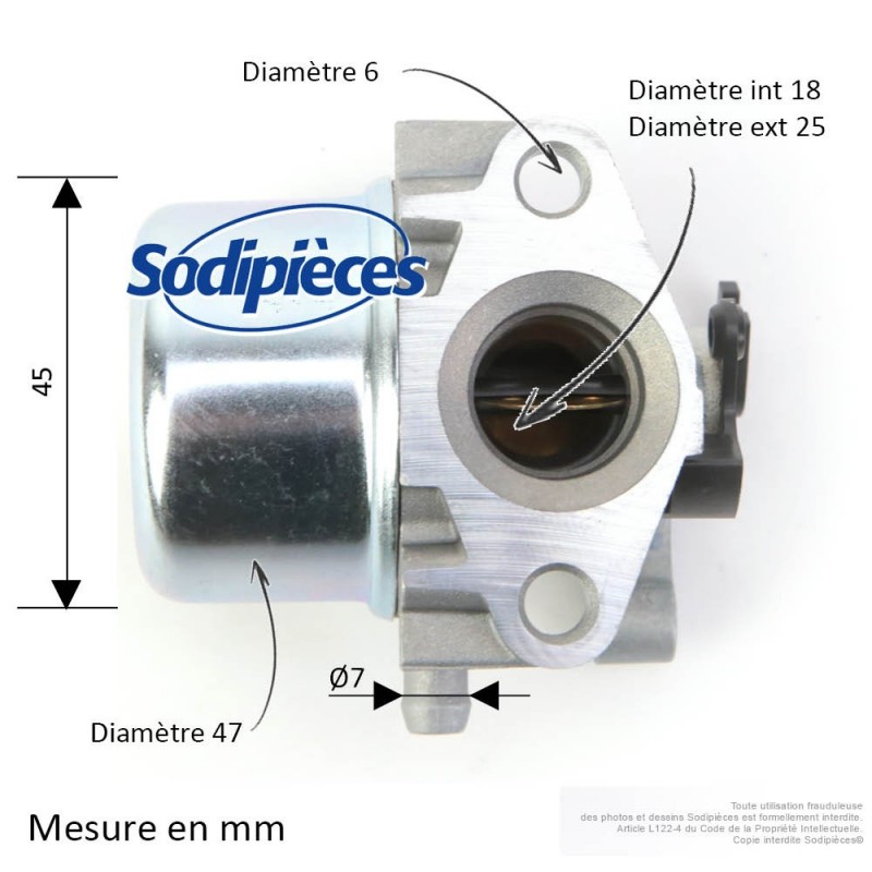 Carburateur pour Briggs & Stratton N°799866