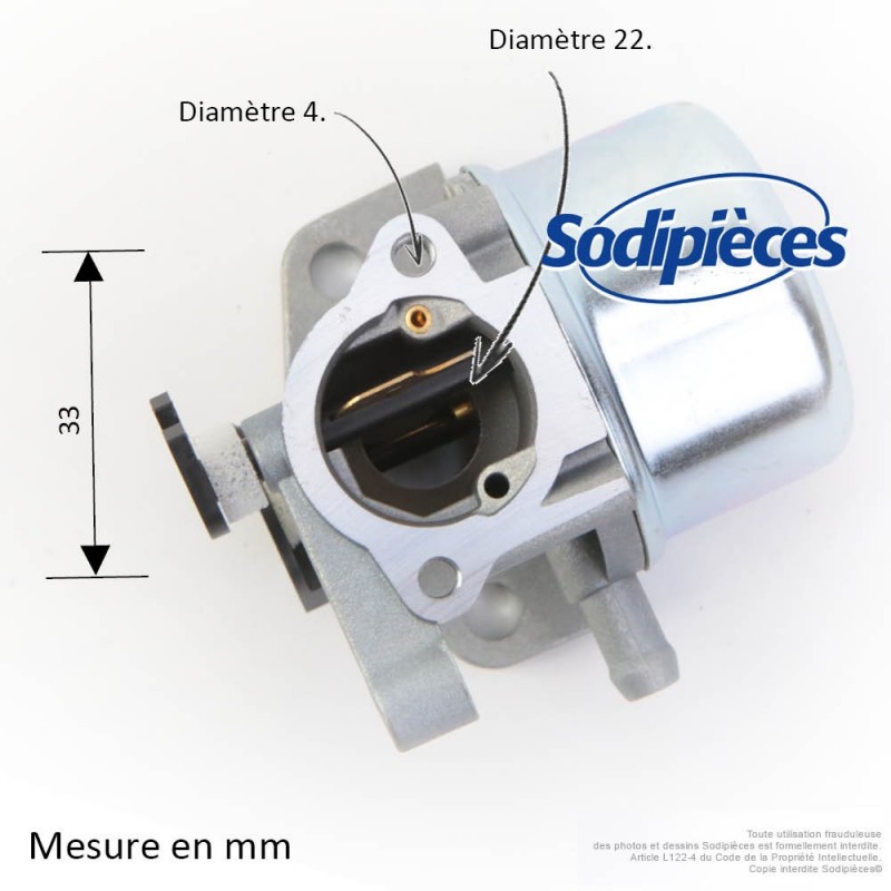 Carburateur pour Briggs & Stratton N°799866