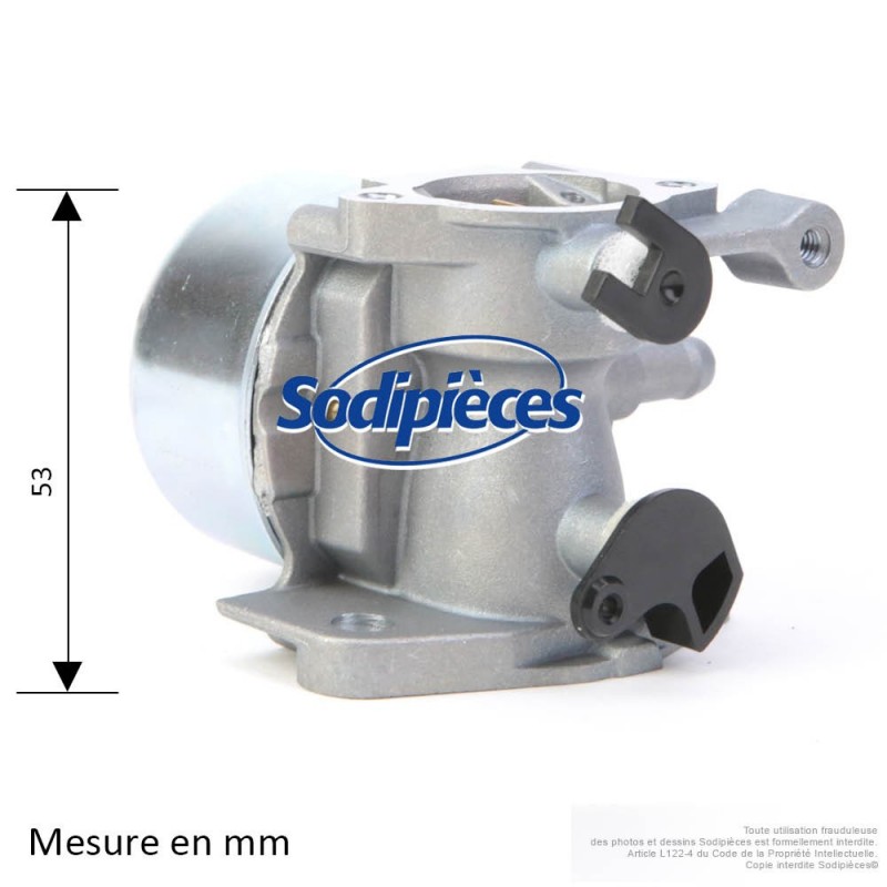 Carburateur pour Briggs & Stratton N°799866