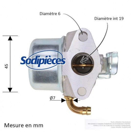 Carburateur pour Briggs & Stratton N°798653