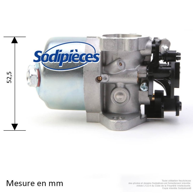 Carburateur pour Briggs & Stratton N°591852
