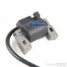 Bobine d'allumage pour Briggs & Stratton 298316 Bobine d'allumage pour Briggs & Stratton 298316