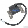Bobine d'allumage pour Briggs & Stratton 298316 Bobine d'allumage pour Briggs & Stratton 298316
