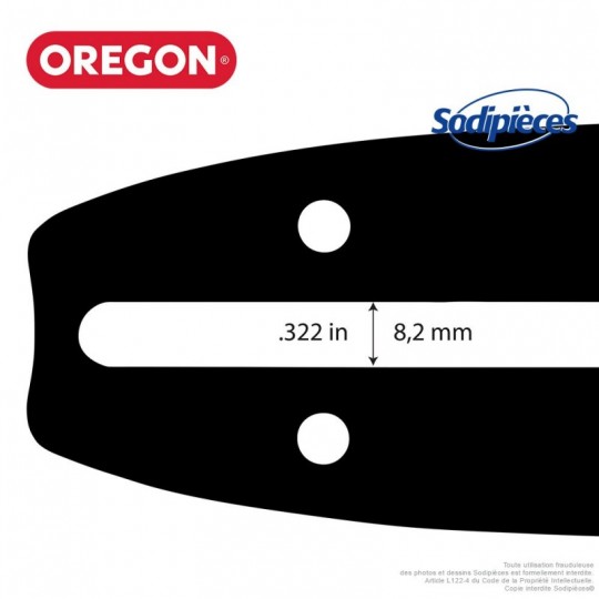 Guide 120SDEA041 ou 565196 OREGON DB Guard A041. 30 cm