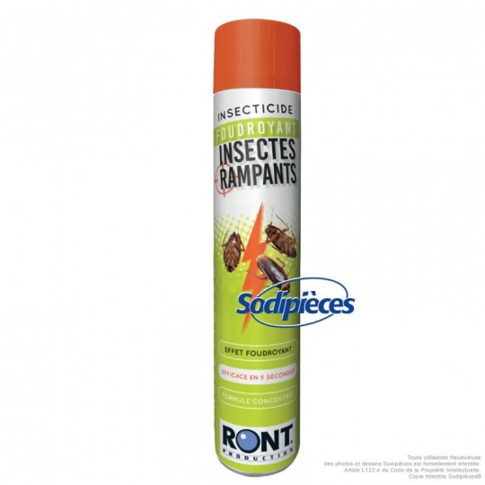 Bombe insecticide insectes rampants 1000 ml