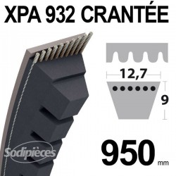 Courroie XPA900 Trapézoïdale crantée. 12,7 mm x 917 mm.