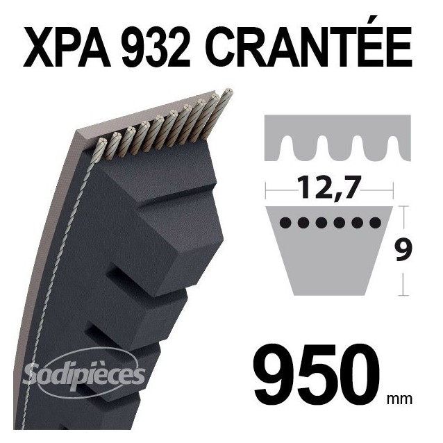 Courroie XPA900 Trapézoïdale crantée. 12,7 mm x 917 mm.